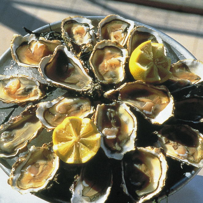Oysters from Sète