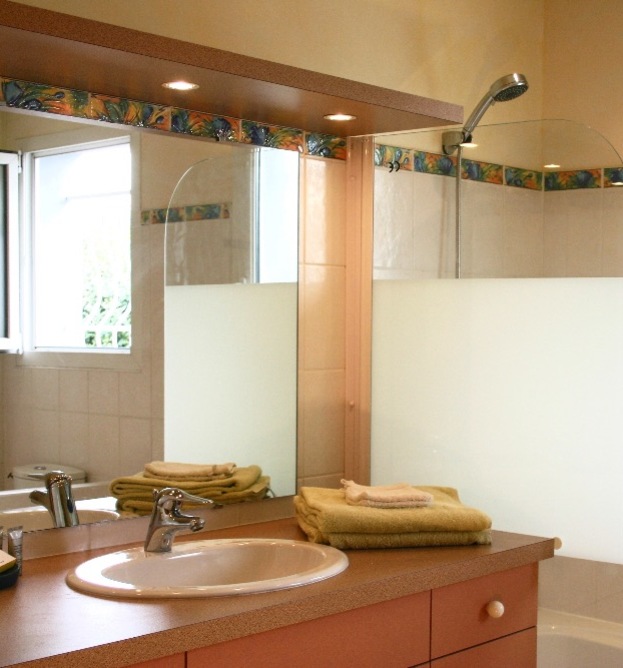 Bathroom Deluxe room with shower and Jacuzzi bath