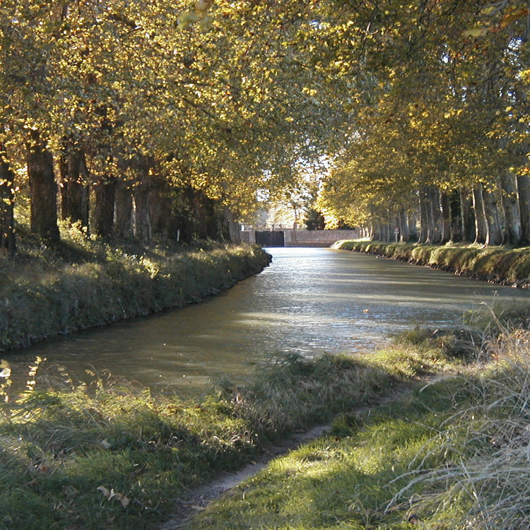 Canal du Midi zum Fahrradfahren