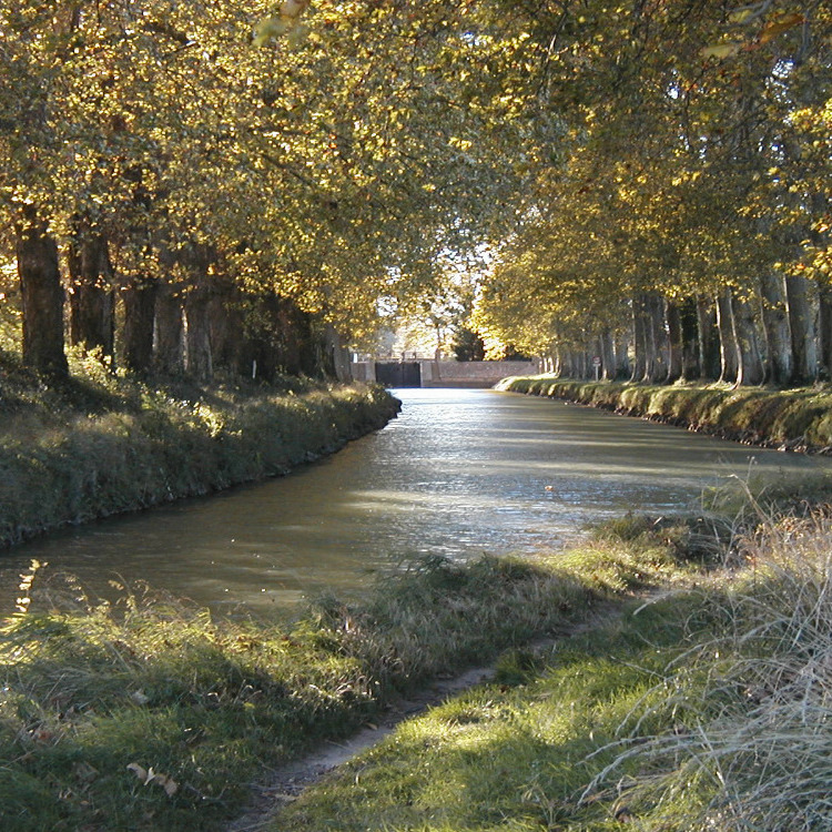 Canal du Miidi